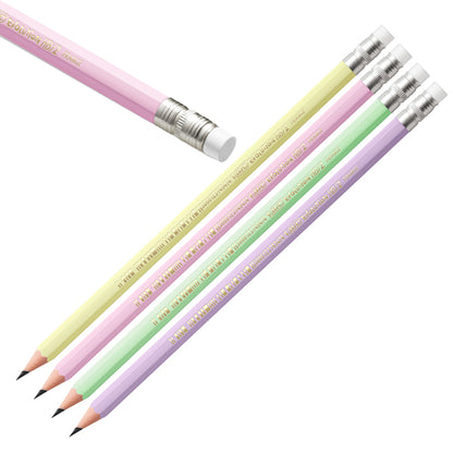 Matita Evolution Pastel - gradazione HB -  con gommino - colori assortiti - Bic - conf. 12 pezzi