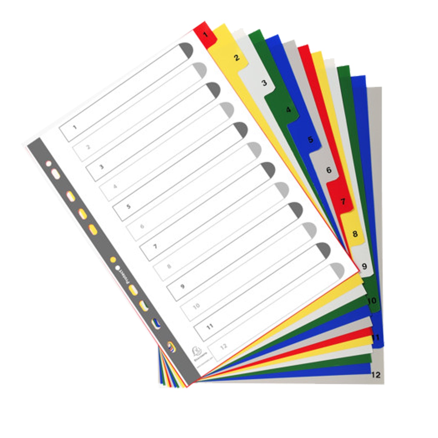 Divisori Numerici - 1-12 - PP opaco - A4 - colori assortiti - Exacompta