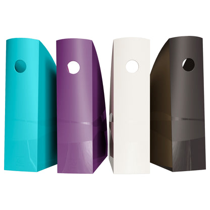 Set 4 portariviste Mag-Cube - linea Titane - 26,6 x 8,2 x 30,5 cm - colori assortiti - Exacompta