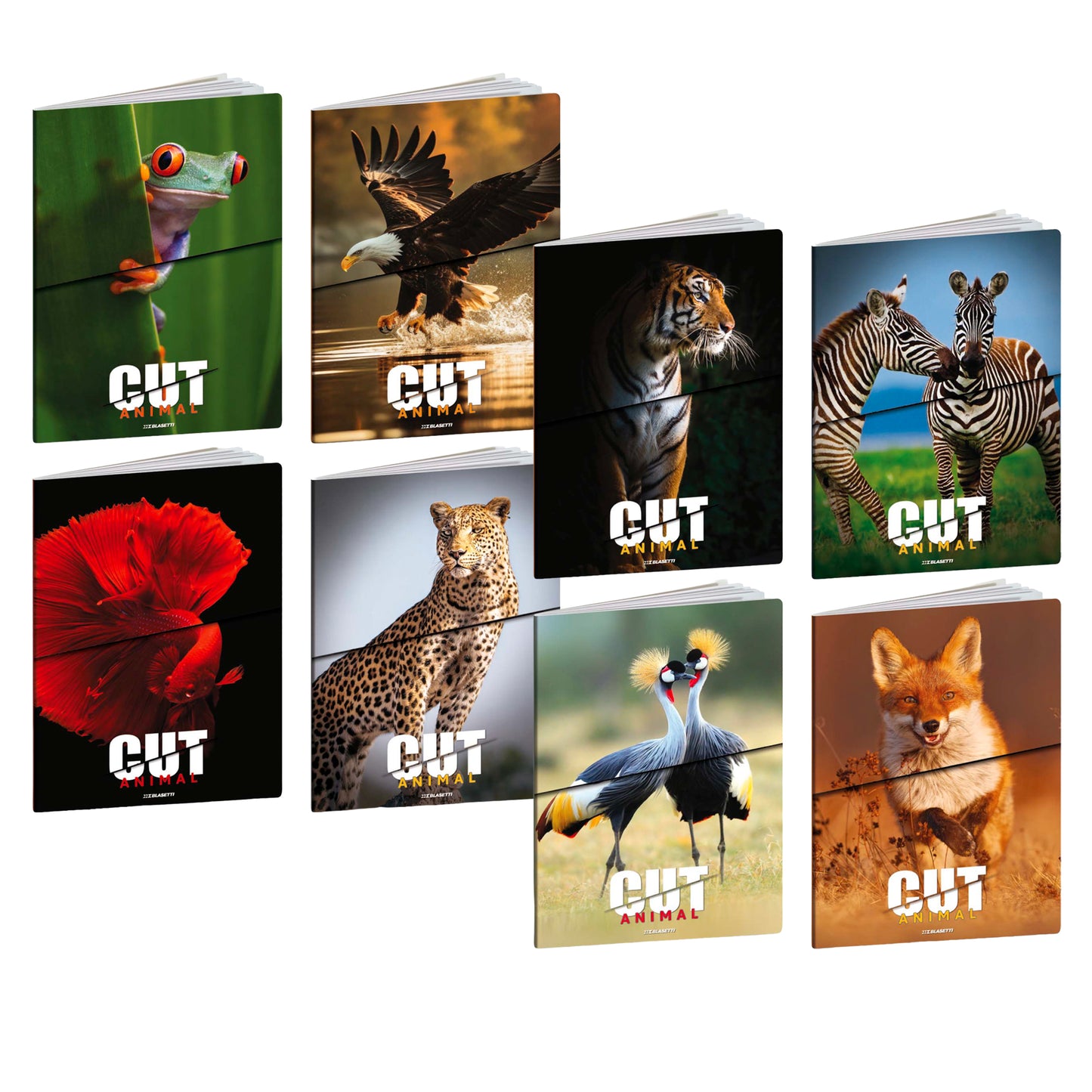Maxiquaderno Animal Cut - A4 - rigo di 3a - 21 fogli - 80 gr - Blasetti