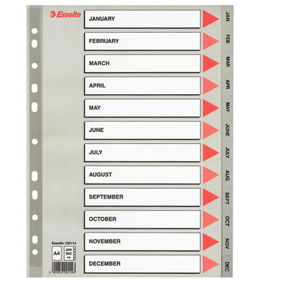 Separatore mensile Gen/Dic - PP - A4 - grigio - Esselte