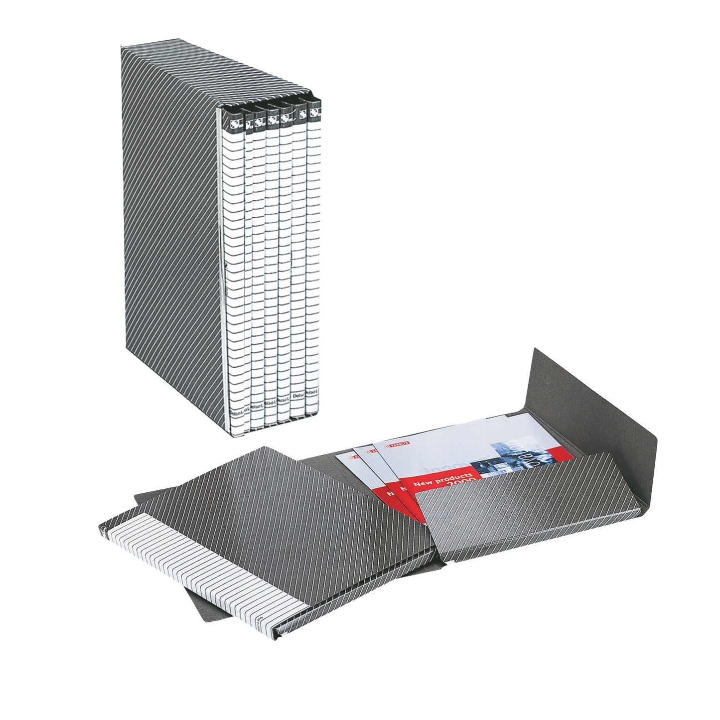 Gruppo Delso Line - 25 x 32 cm - 6 cartelle 2 lembi - con custodia - dorso 1,5 cm - grigio - Esselte