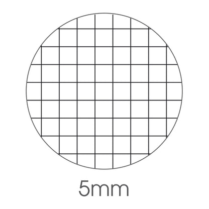 Blocco note Export - 5mm - 150 x 210mm - 50gr - 50 fogli - BM