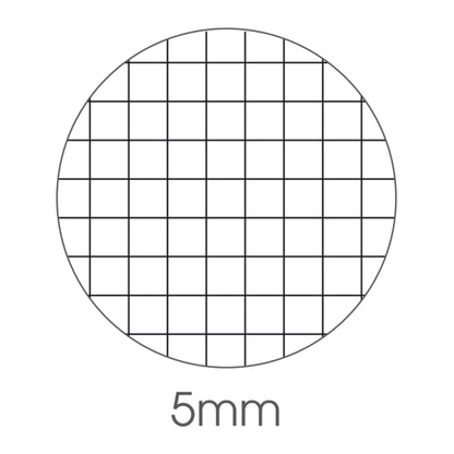 Blocco note Export - 5mm - 210 x 297mm - 50gr - 50 fogli - BM