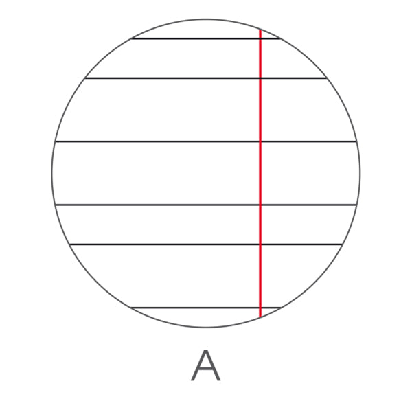 Maxiquaderno Be More Wild - A4 - rigo di 1a - 36+2 fogli - 100gr - BM
