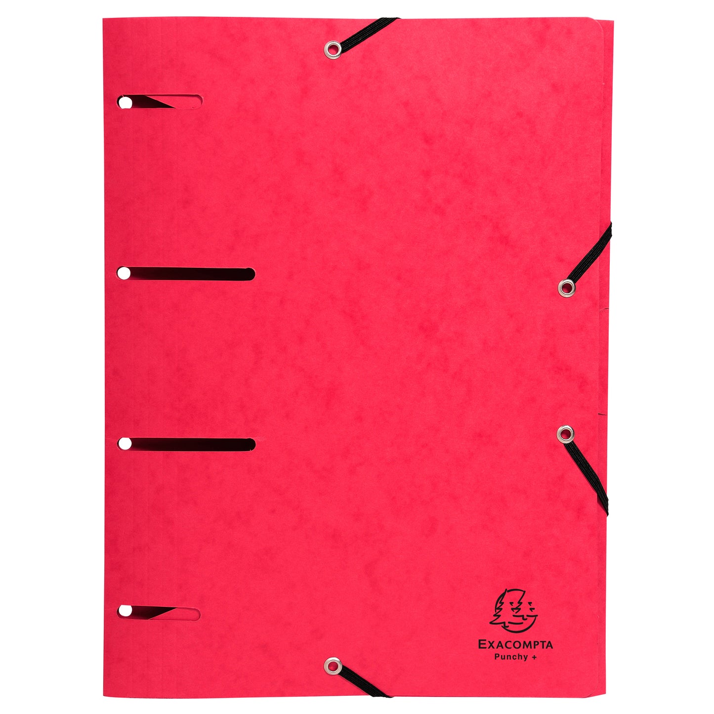Cartella 3 lembi con elastico angolare - A4 - dorso 0,3 cm - cartoncino lustré - colori assortiti - Exacompta