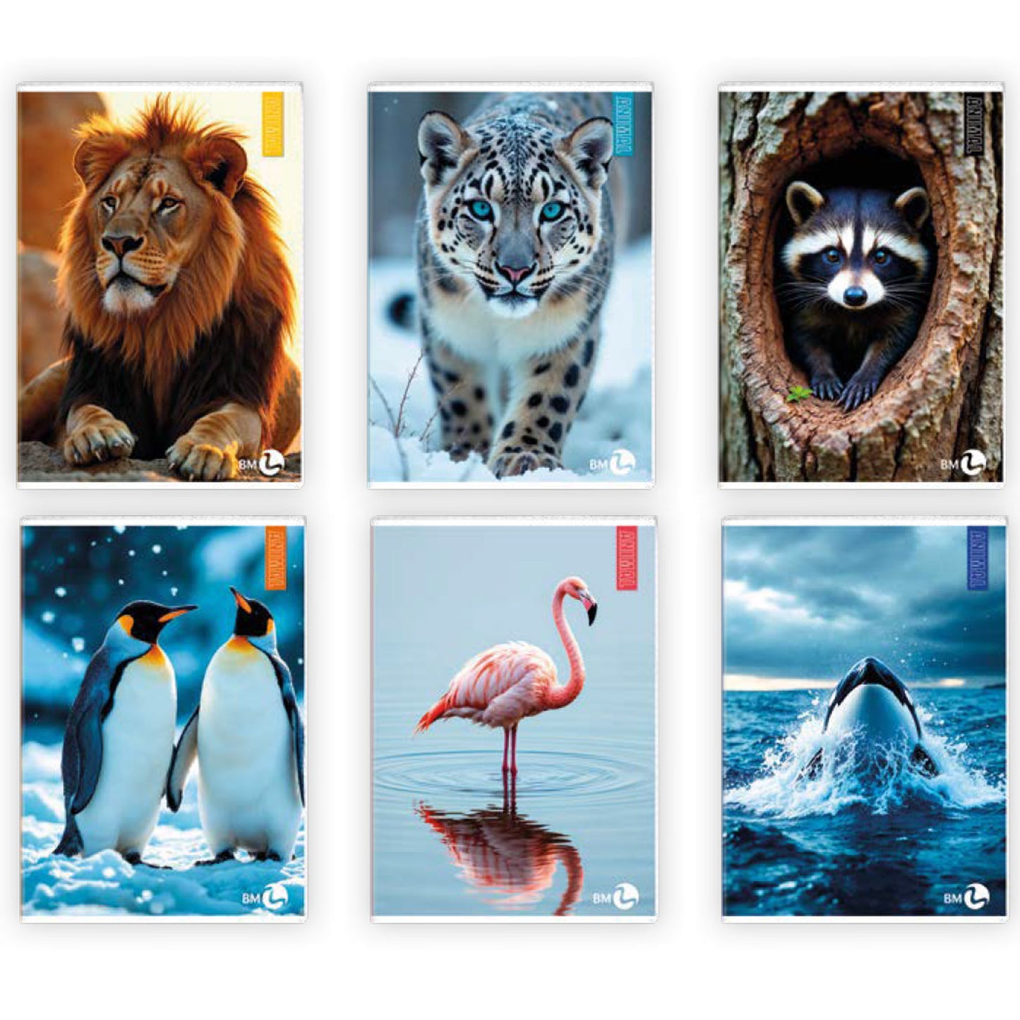Maxiquaderno Animal fantasia - A4 - 10mm - 40+2 fogli - 80gr - BM