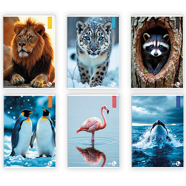 Maxiquaderno Animal fantasia - A4 - 4mm c/margine - 40+2 fogli - 80gr - BM