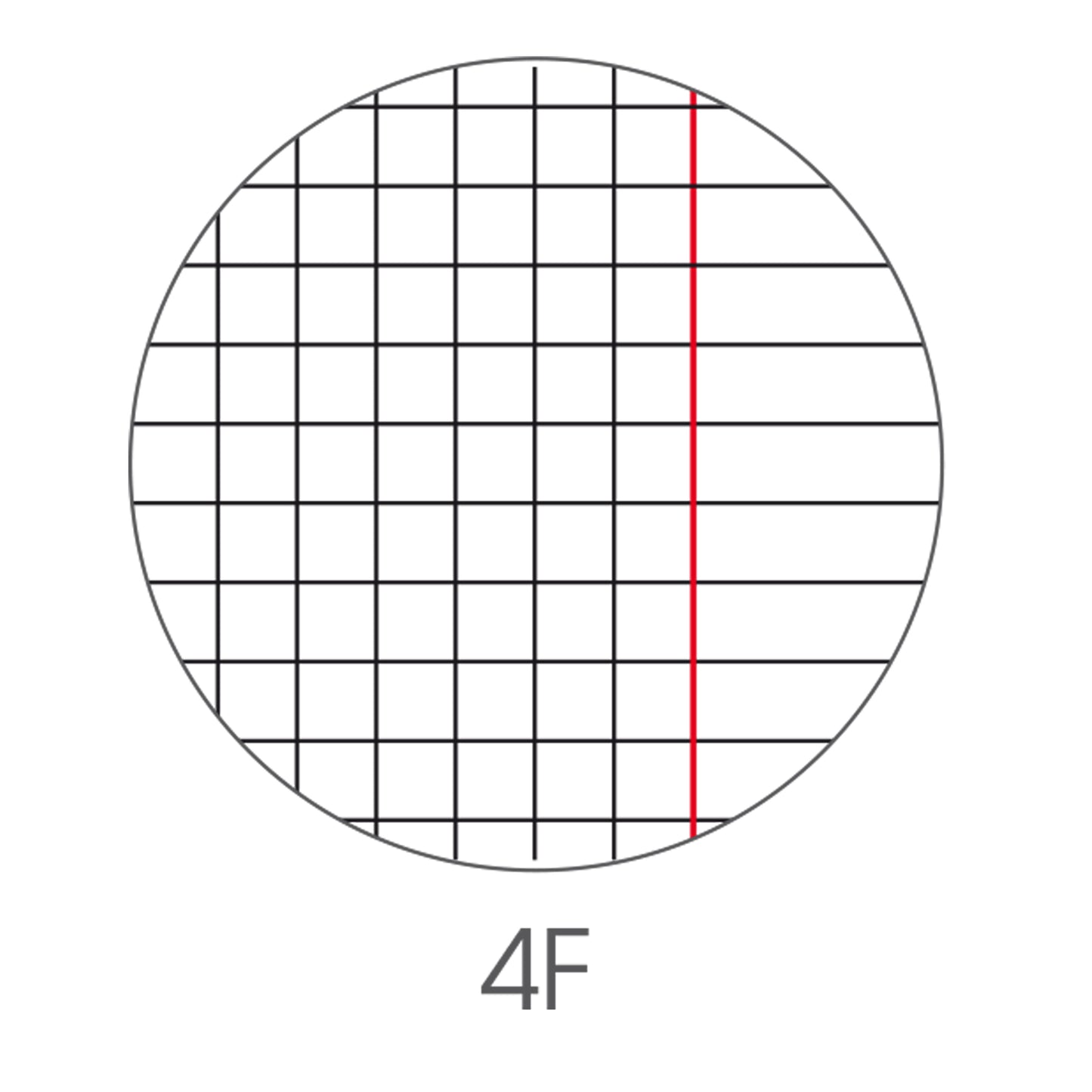 Maxiquaderno Animal fantasia - A4 - 4mm c/margine - 40+2 fogli - 80gr - BM