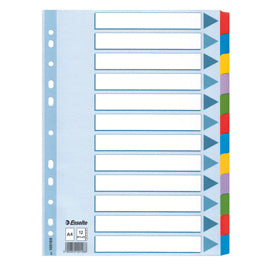 Intercalare Mylar -12 tasti colorati - A4 - Esselte