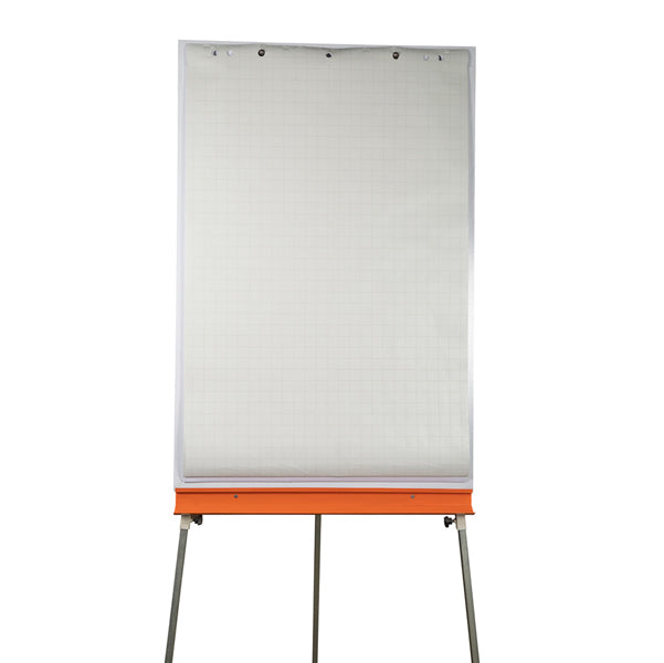 Blocco per lavagna - 65 x 100cm - 48 fogli - 60gr - quadretti 2,5cm - Exacompta