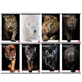 Maxiquaderno Animal - A4 - 4 mm c/margine - 42 fogli - 80 gr - Pigna